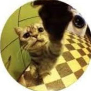 Meet your Posher, Phoenix !